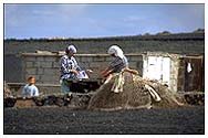 donne al lavoro agreste