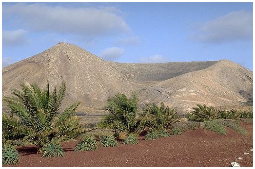 palme ai piedi di un ex vulcano