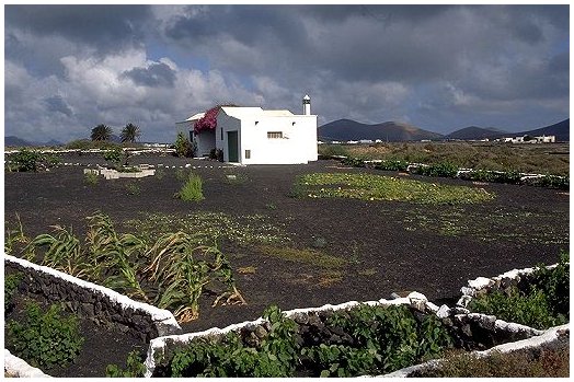 La Geria: tipica casa rurale