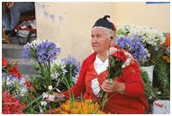 venditrice di fiori a Funchal