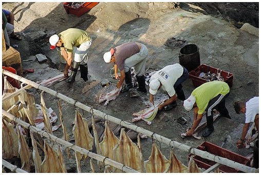 Camara de Lobos: lavorazione del pesce