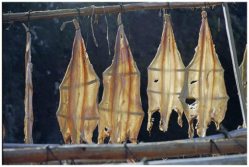 Camara de Lobos: essicazione del pesce