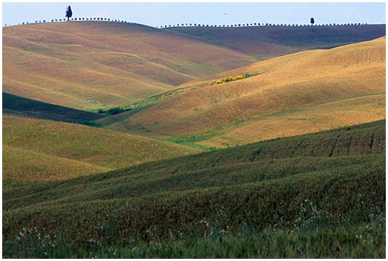 verso Asciano