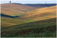 verso Asciano